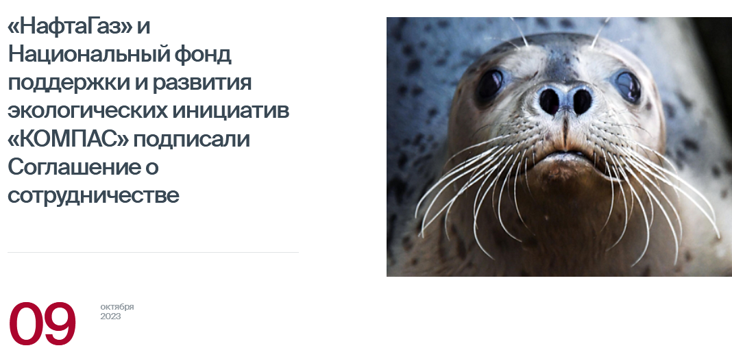 Компания «НафтаГаз» сотрудничает с экологическим фондом «КОМПАС» в программе мониторинга и сохранения каспийского тюленя